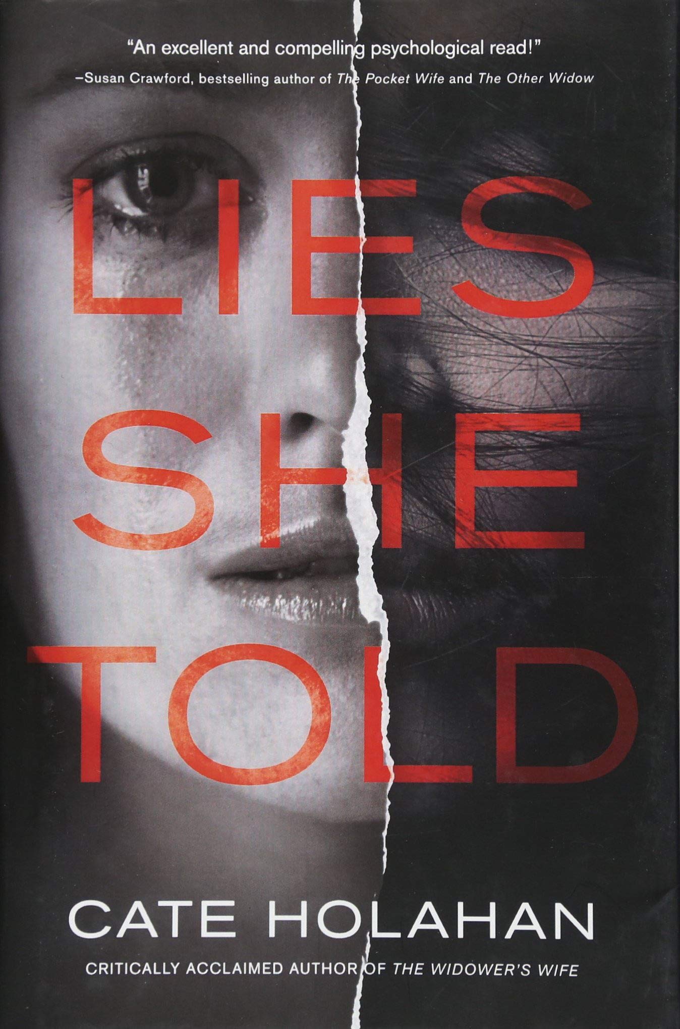 Lies She Told: A Novel