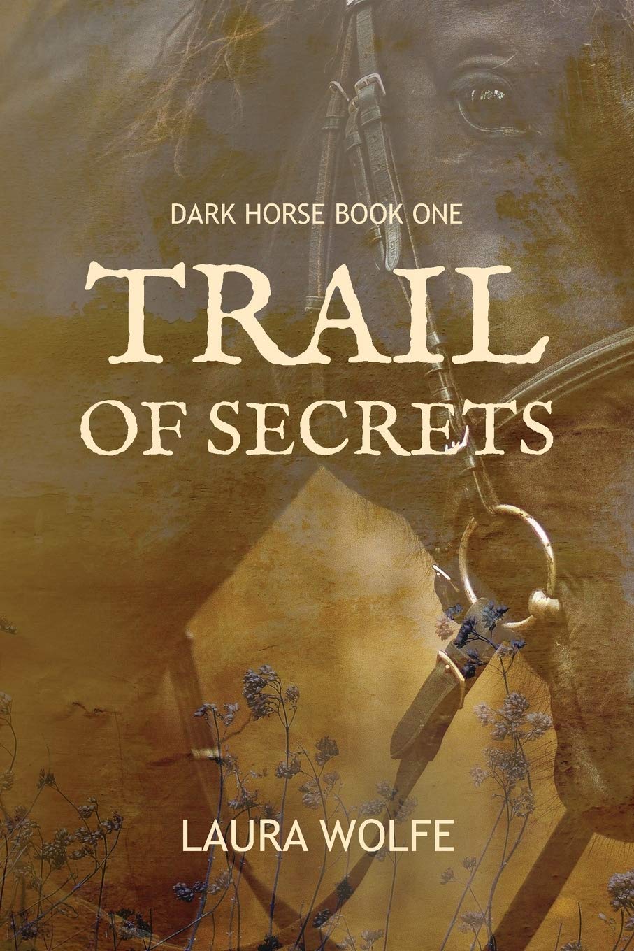 Trail of Secrets: Dark Horse, Book One