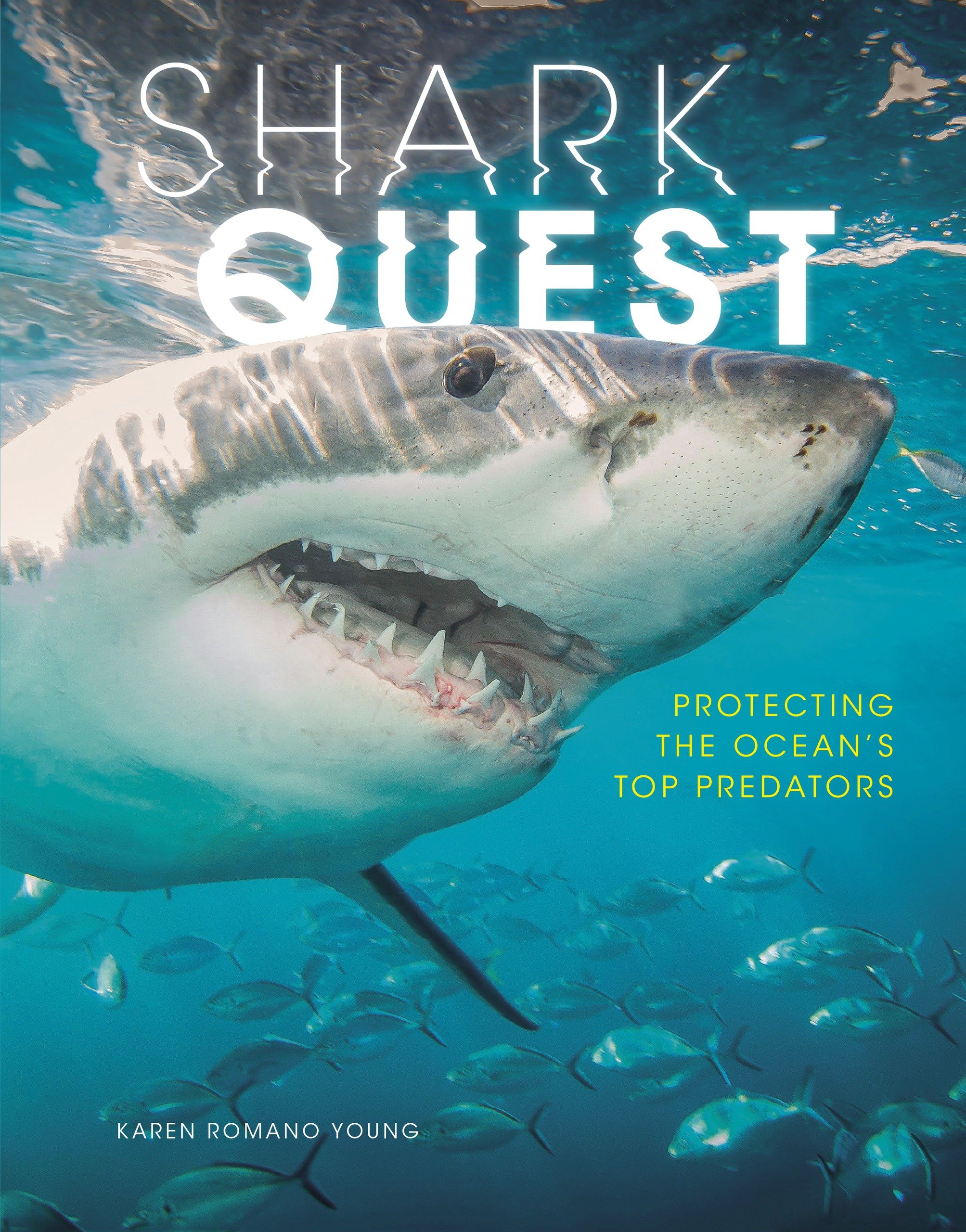 Shark Quest: Protecting the Ocean's Top Predators