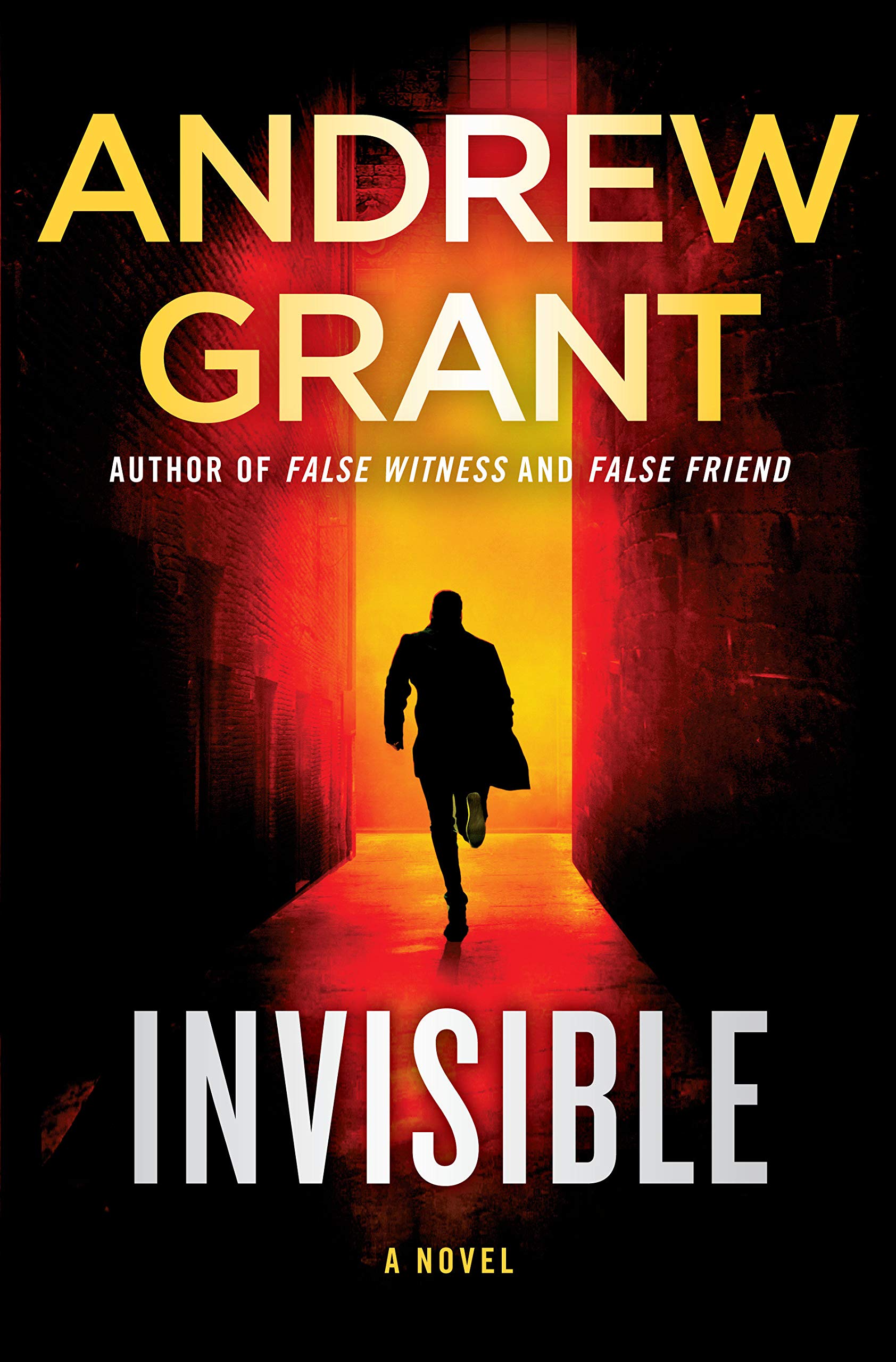 Invisible: A Novel