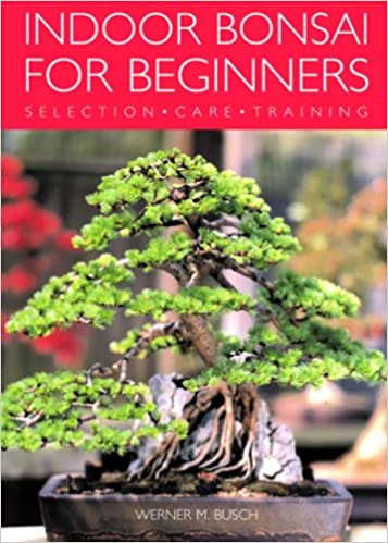 Indoor Bonsai for Beginners: Selection, Care, Training
