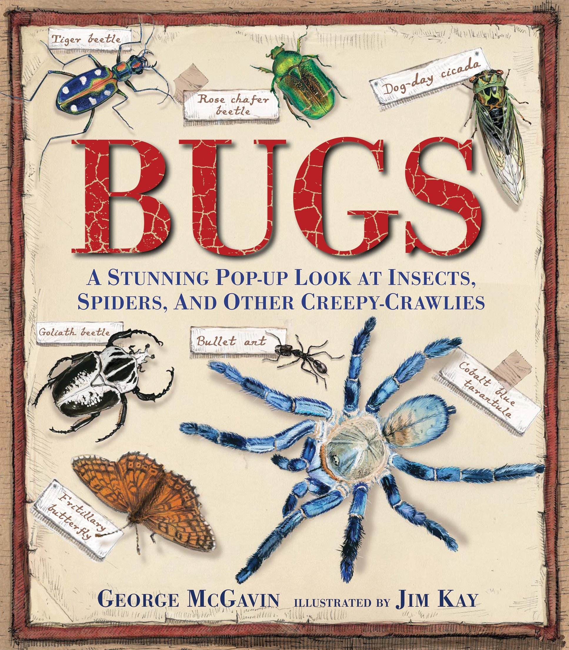 Bugs: A Pop- up Journey Into the World of Insects, Spiders and Creepy-crawlies