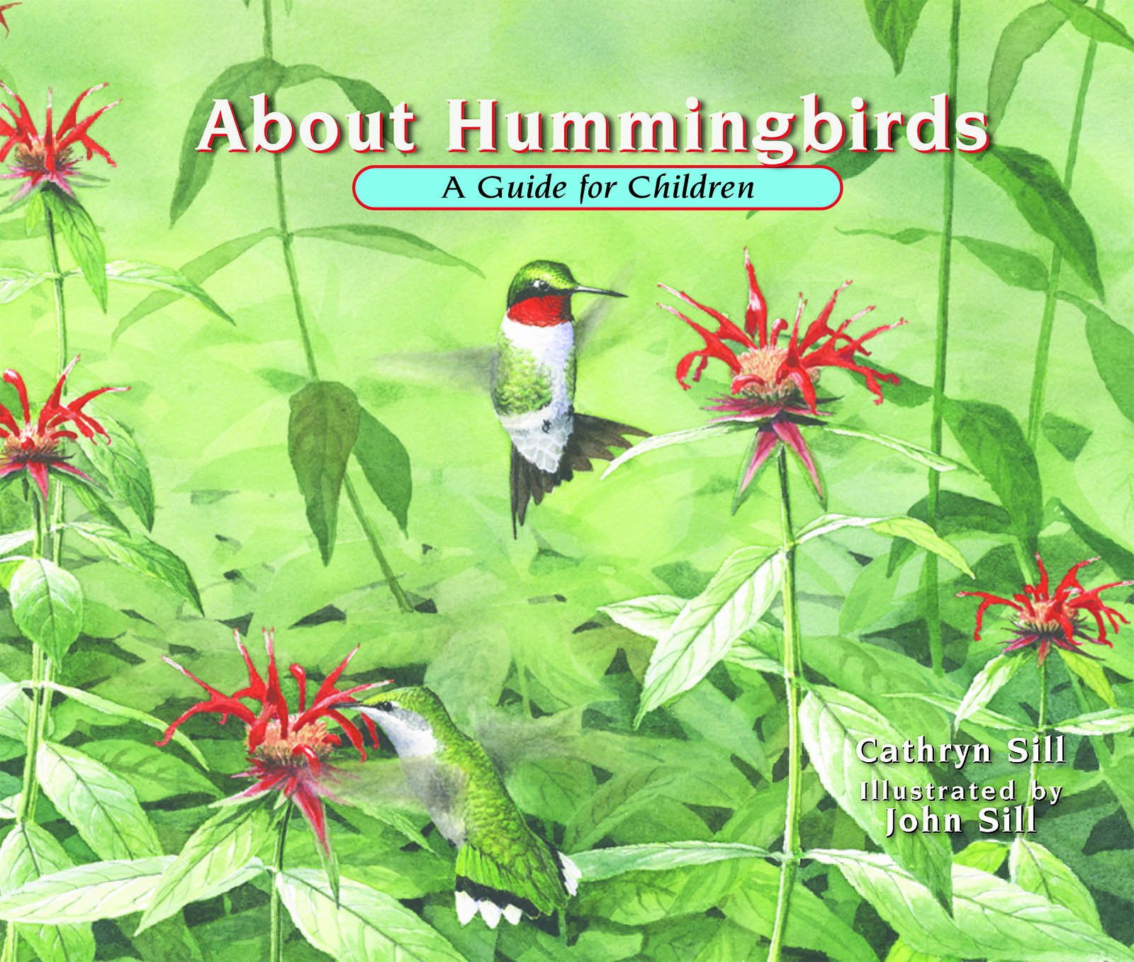 About Hummingbirds: A Guide for Children