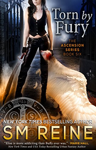 Torn by Fury: An Urban Fantasy Novel