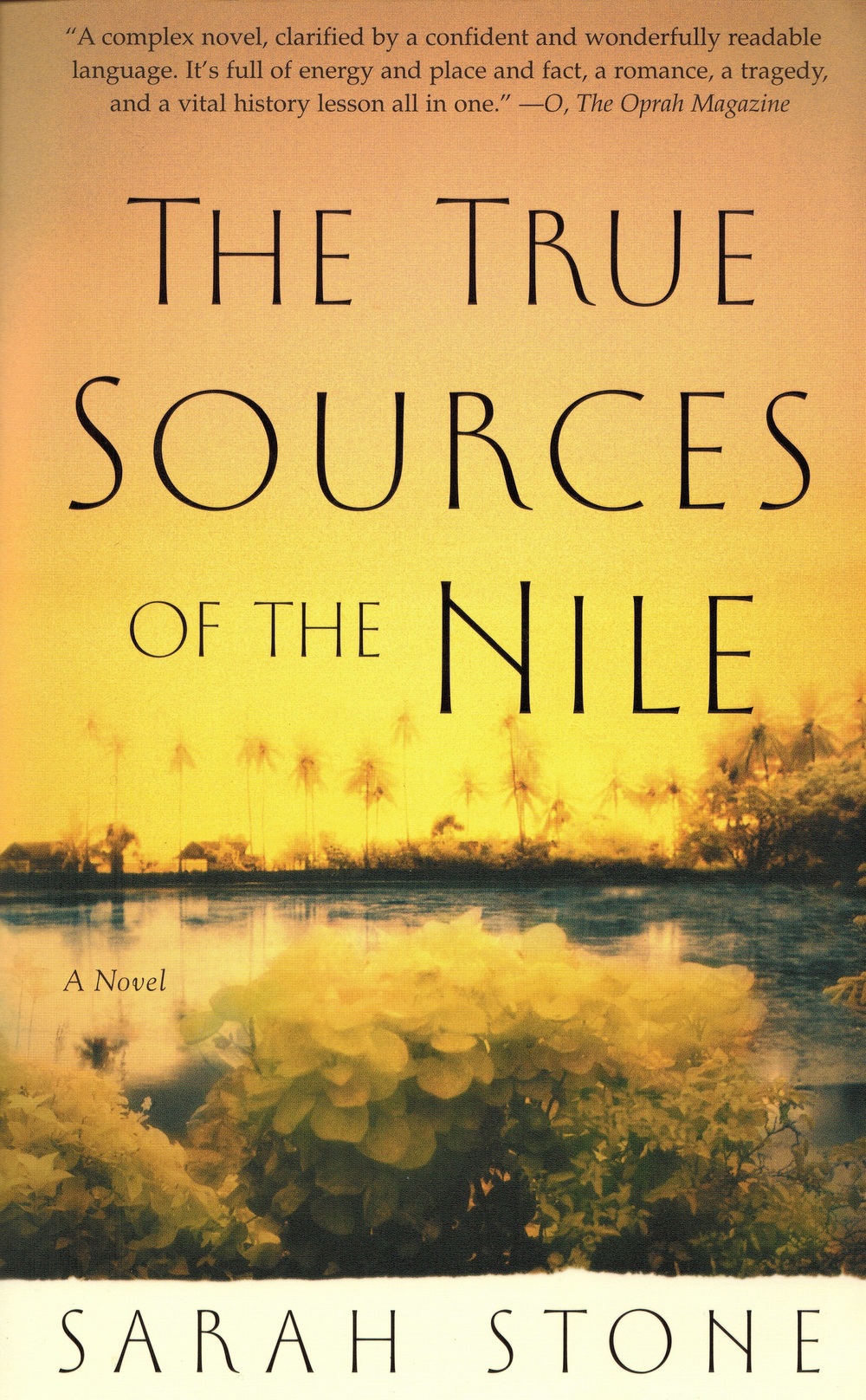 The True Sources of the Nile: A Novel