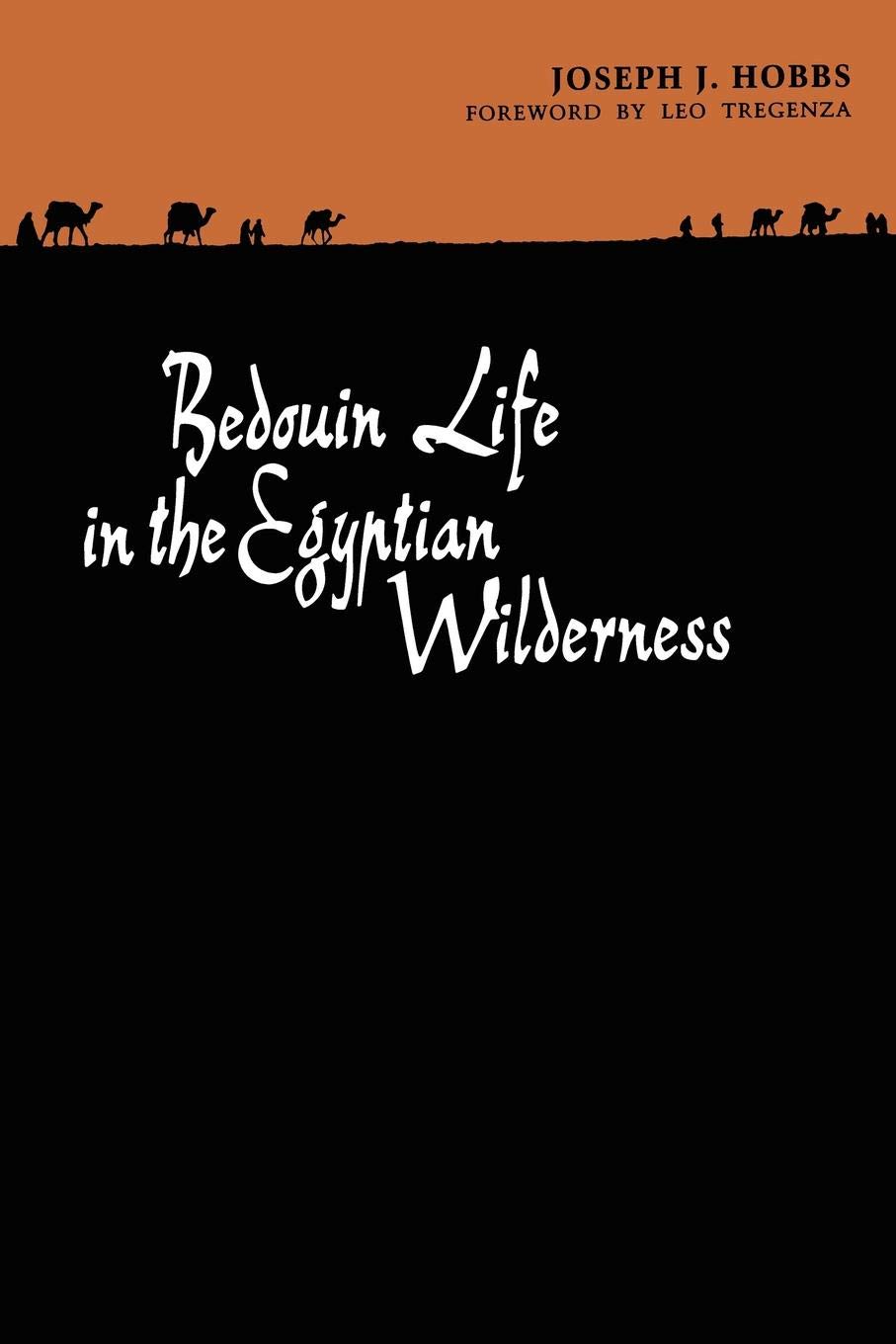 Bedouin life in the Egyptian wilderness