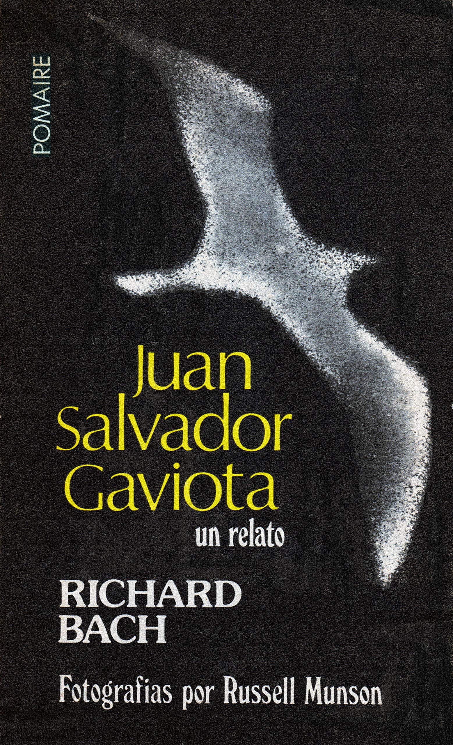 Juan Salvador Gaviota: Un relato