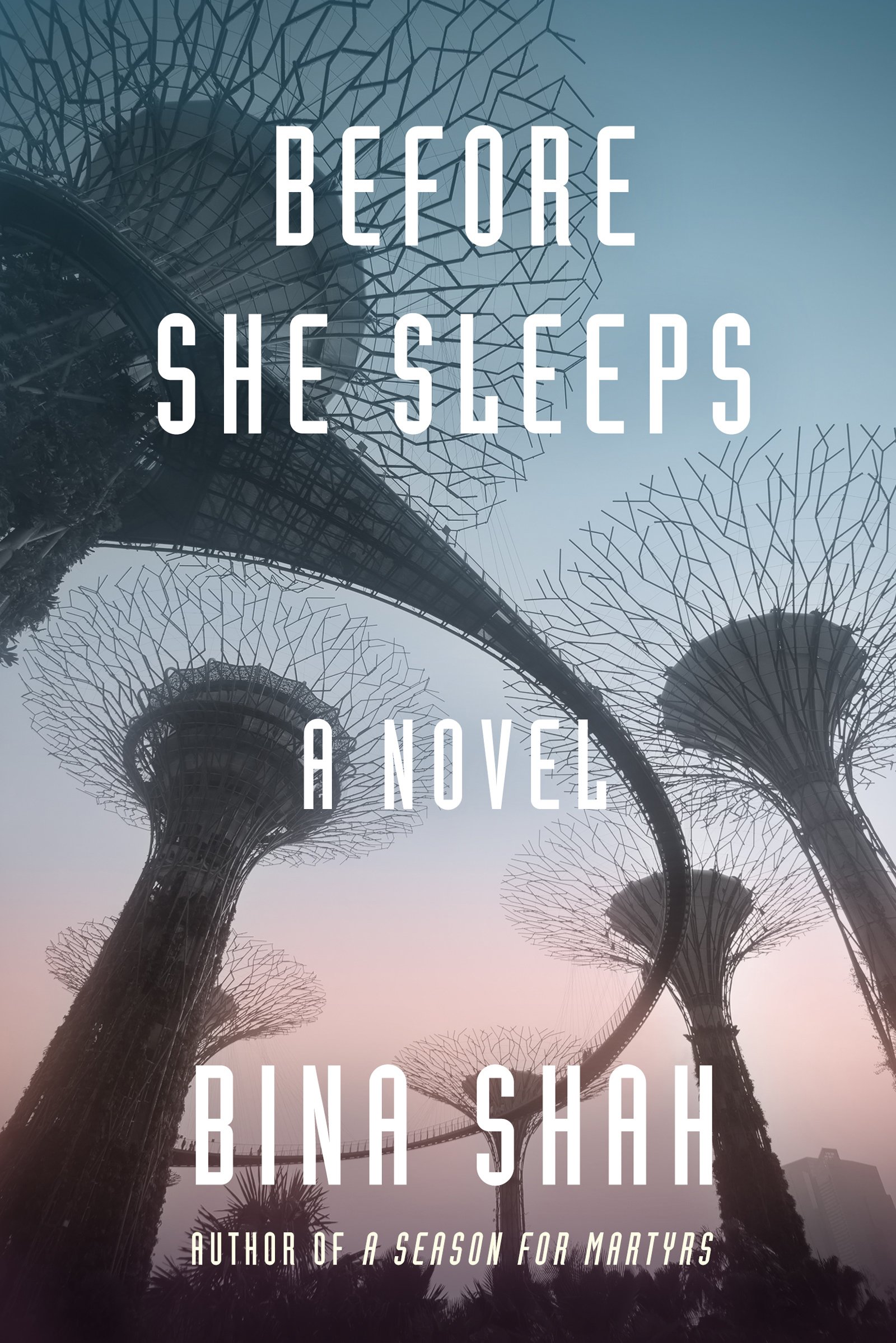 Before She Sleeps: A Novel