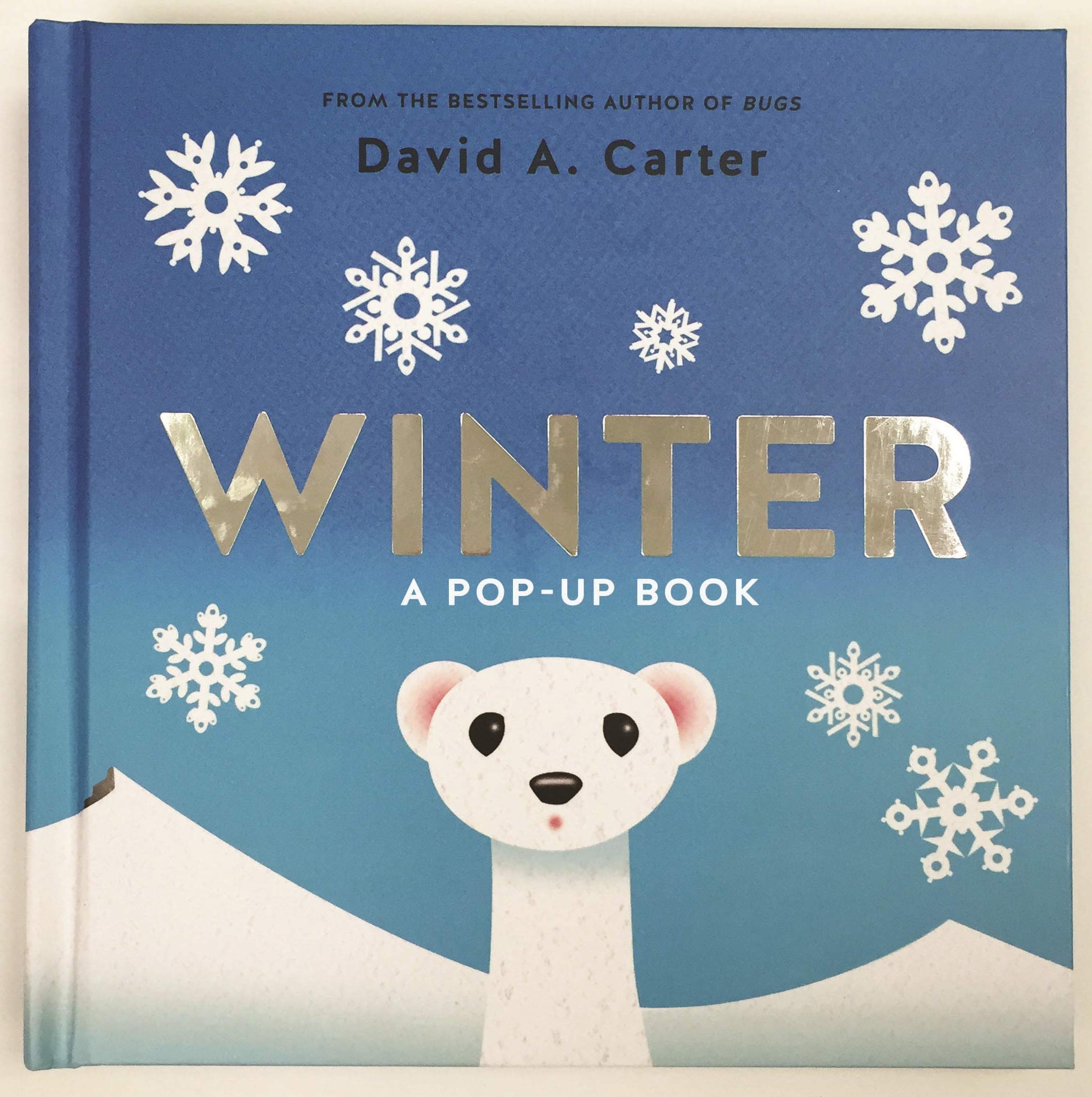 Winter: A Pop- up Book