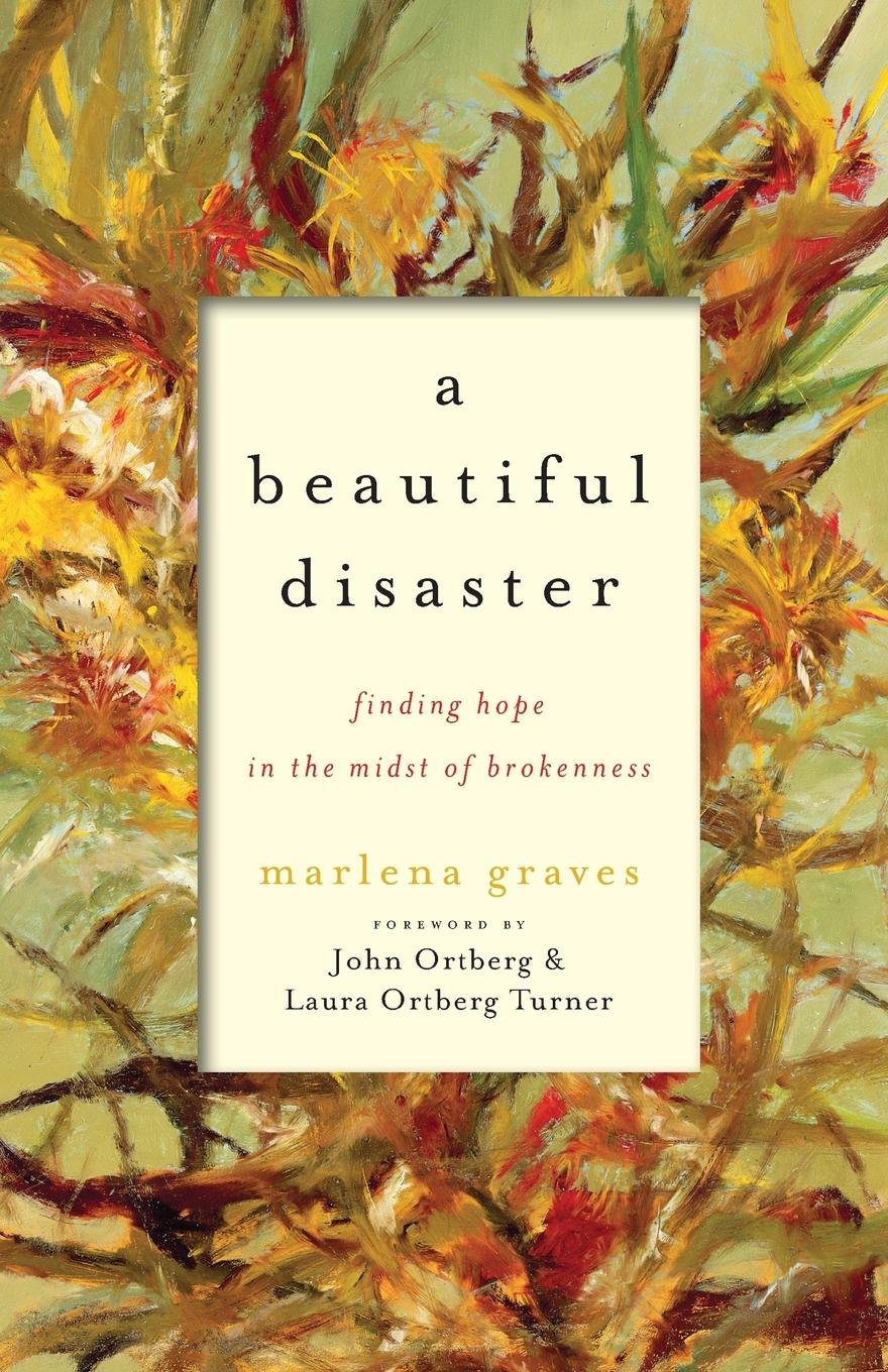 A Beautiful Disaster: Finding Hope in the Midst of Brokenness