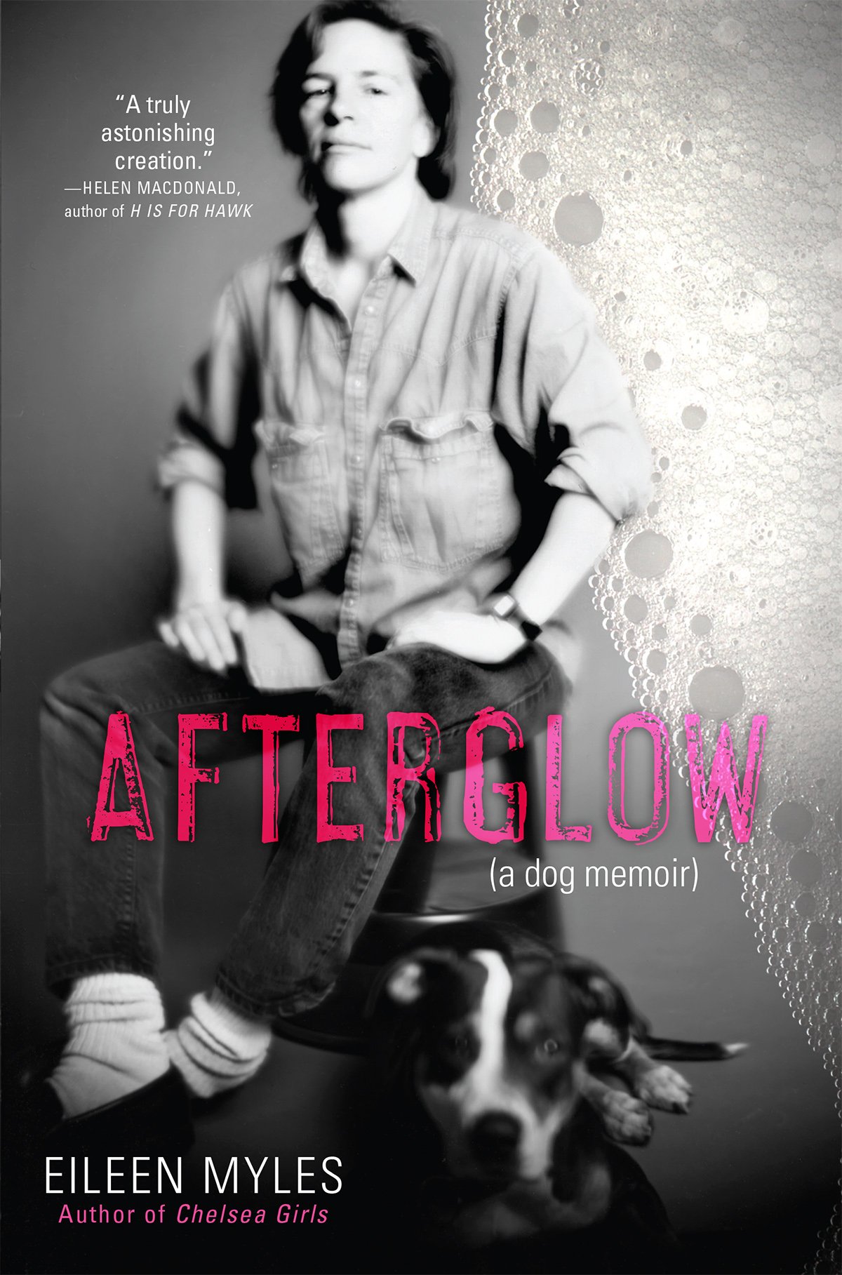 Afterglow: A Dog Memoir