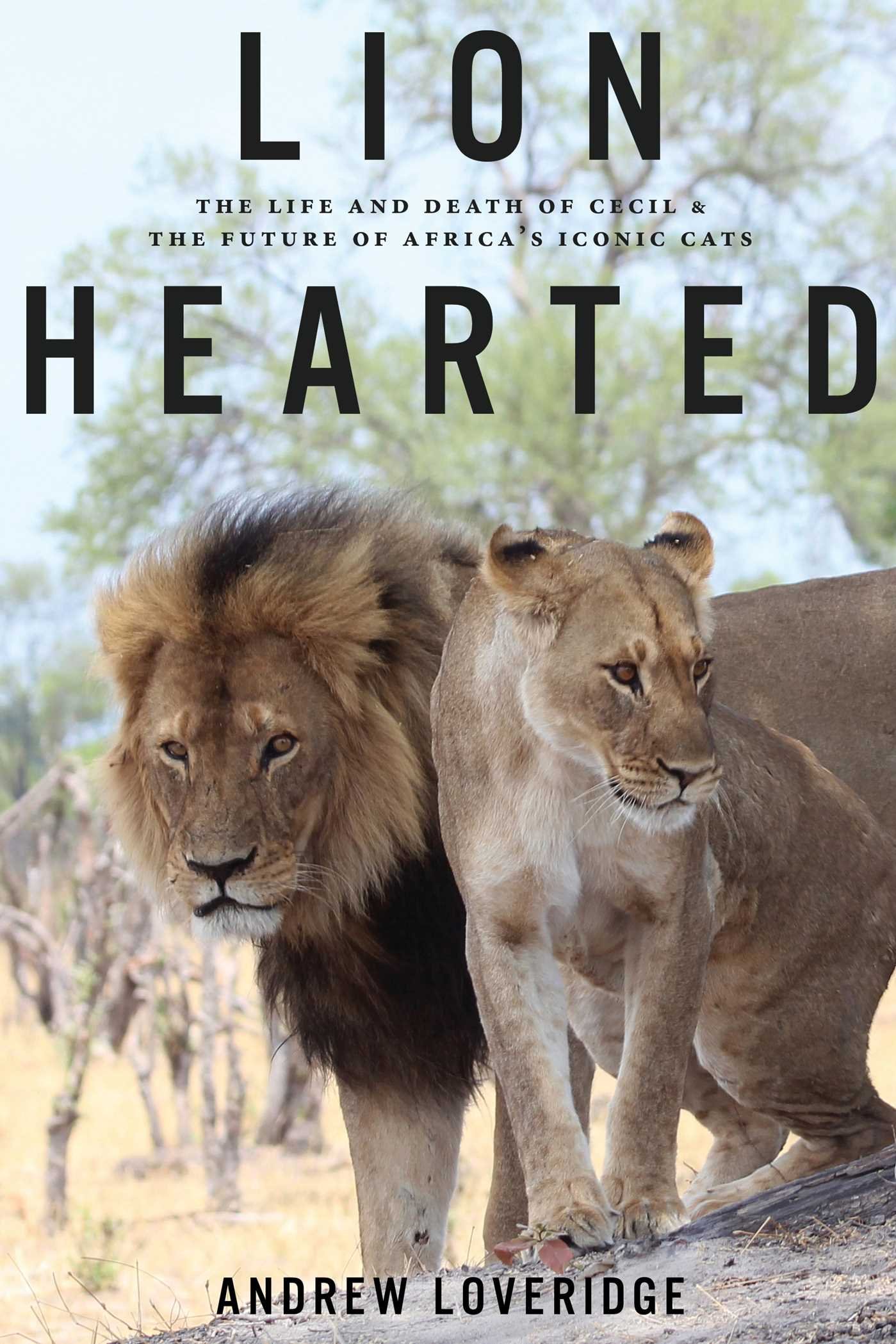 Lion Hearted: The Life and Death of Cecil and the Future of Africa's Iconic Cats