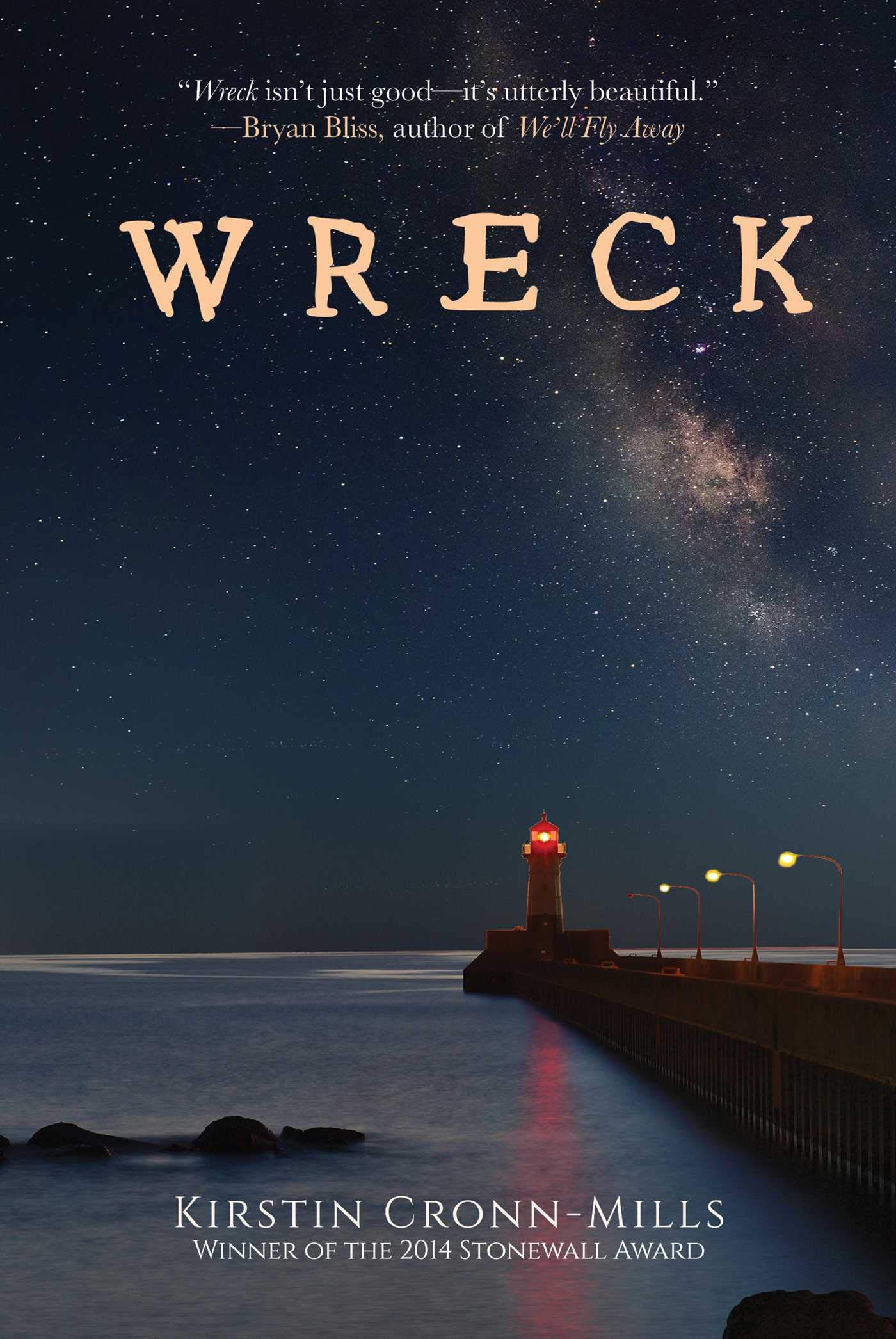 Wreck: A Novel