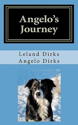 Angelo's Journey: A Border Collie's Quest for Home