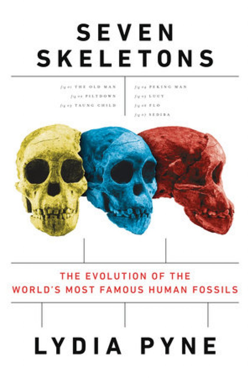 Seven Skeletons: The Evolution of the World's Most Famous Human Fossils