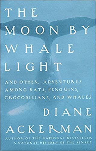 The moon by whale light