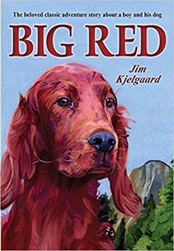 Big Red: The Story of a Champion Irish Setter and a Trapper's Son Who Grew Up Together, Roaming the Wilderness