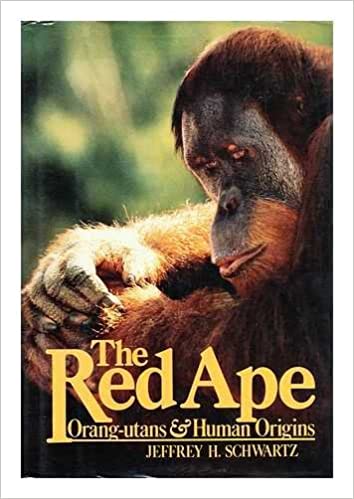 The red ape