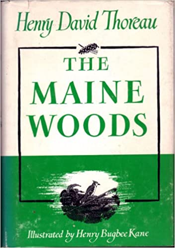 The Maine woods