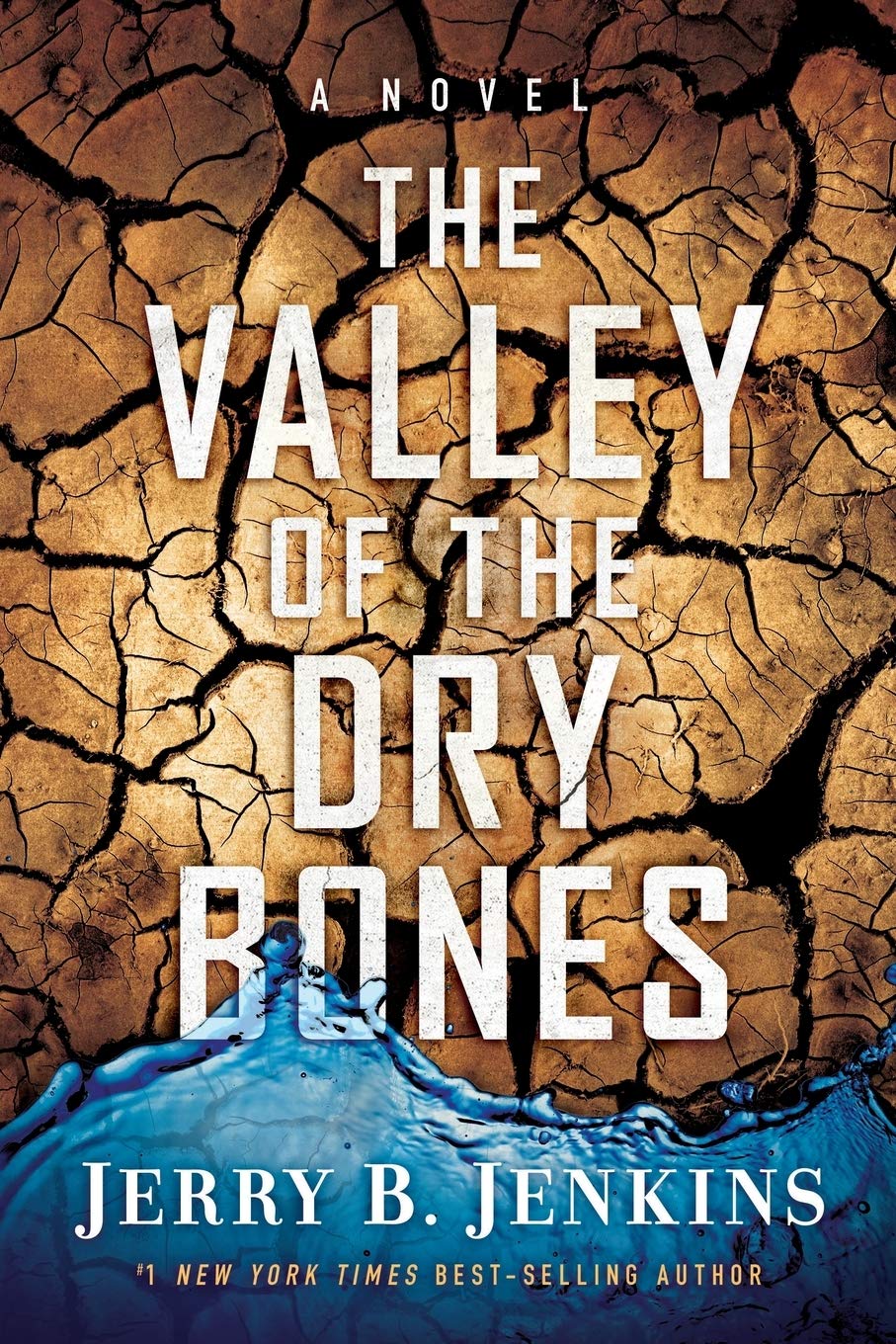 The Valley of Dry Bones: A Novel