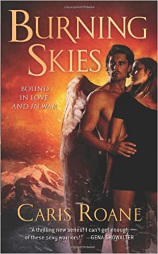 Burning Skies: Book 2 of The Guardians of Ascension Paranormal Romance Trilogy