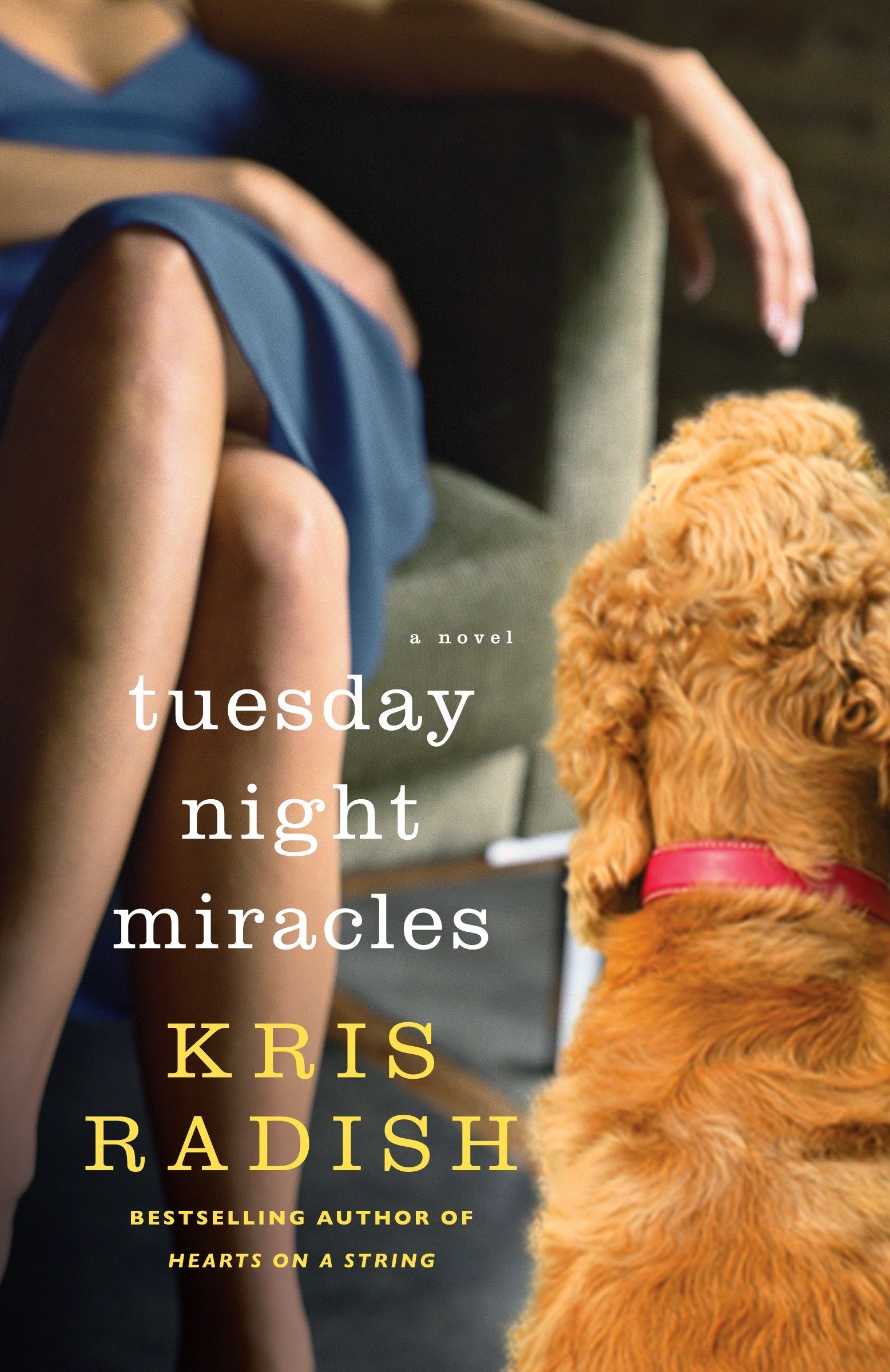Tuesday Night Miracles: A Novel