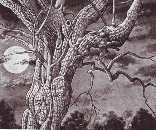 The Ash-tree
