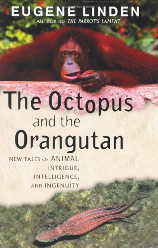 The Octopus and the Orangutan