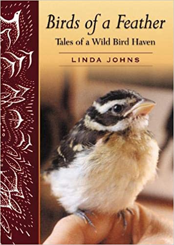 Birds of a Feather: Tales of a Wild Bird Haven