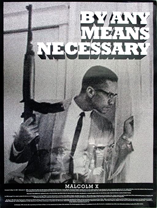 Malcolm X By Any Means Necessary