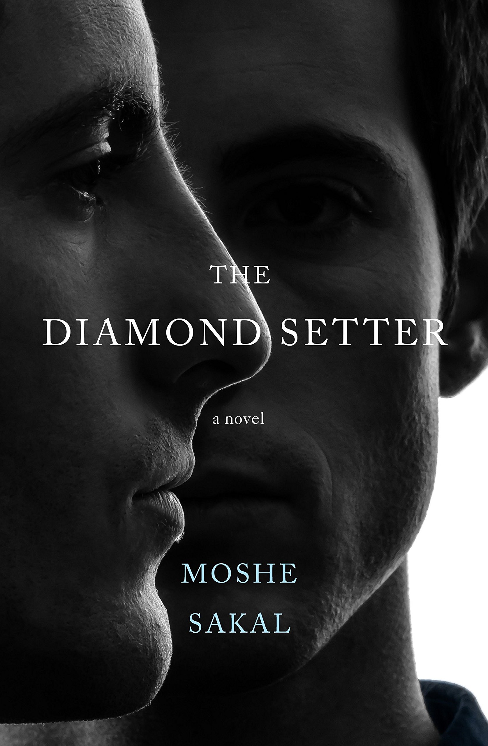 The Diamond Setter: A Novel