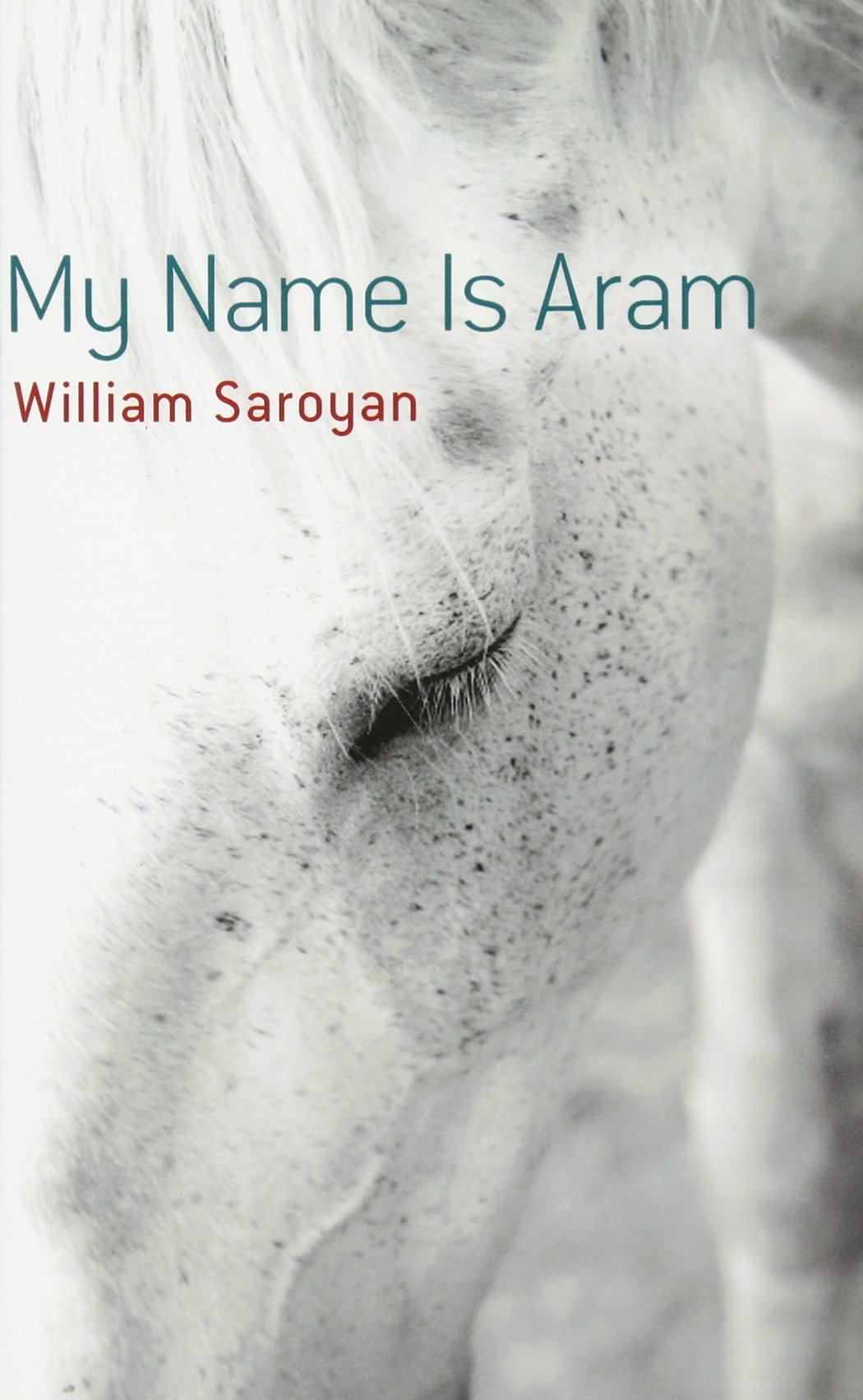 My Name Is Aram